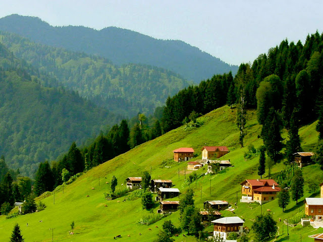 الطبيعة في حيدر نبي