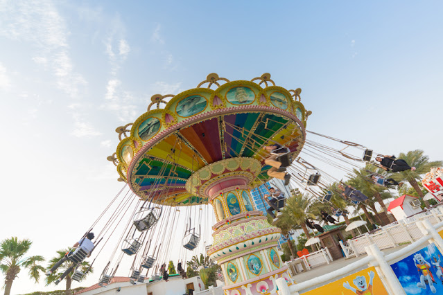 دوامة الطائر