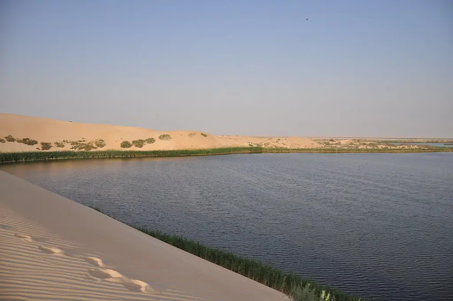 بحيرة الأصفر