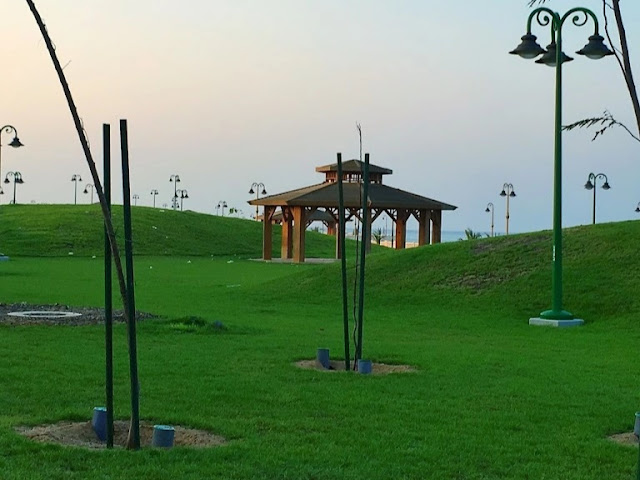 جزيرة النورس