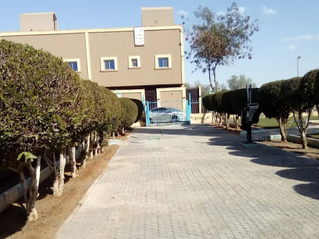 ممارسة الرياضة