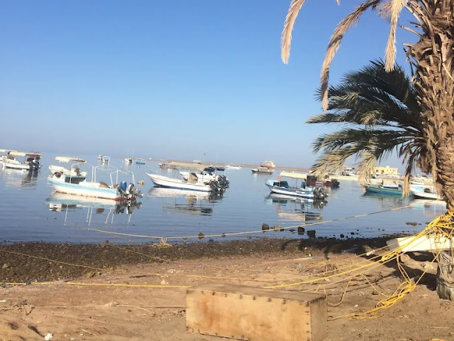 الإبحار في قارب