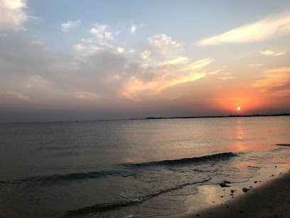 ممارسة السباحة