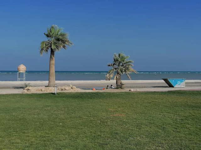 الجلوس في المنتزه