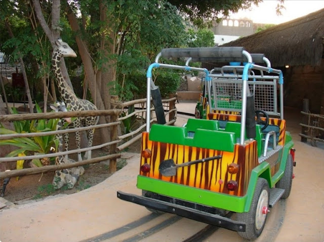 ركوب وسائل النقل