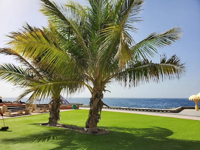 حديقة الكورنيش الشمالي