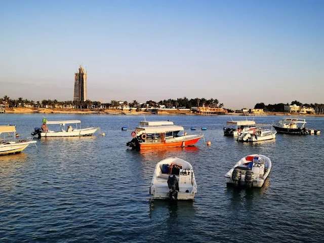 الاستمتاع بالشاطئ