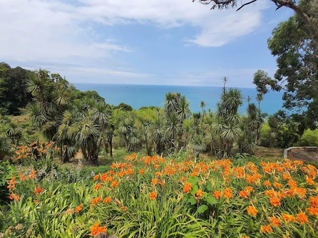 حديقة باتومي النباتية