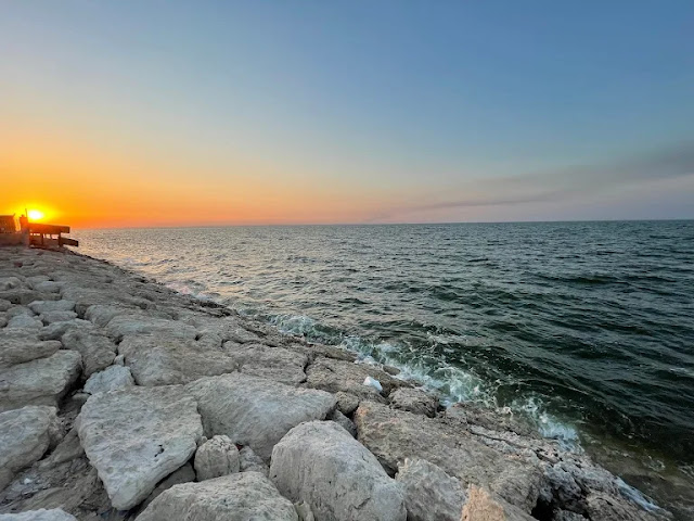 ممارسة هواية الصيد