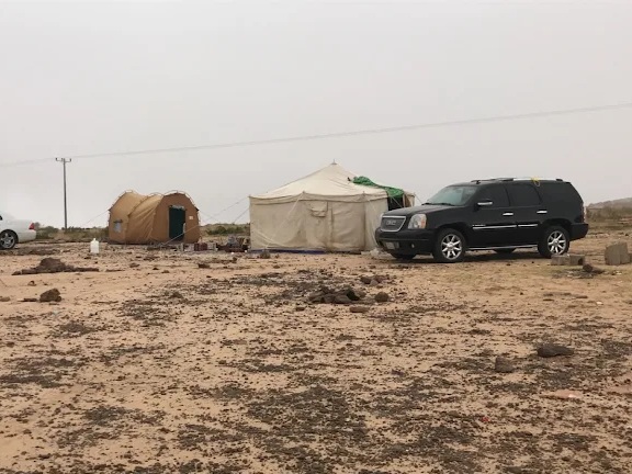 رحلات السفاري