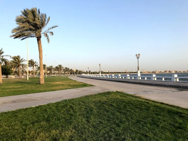 حضور المهرجانات