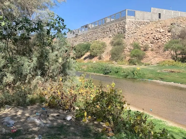 المرح في الملاعب