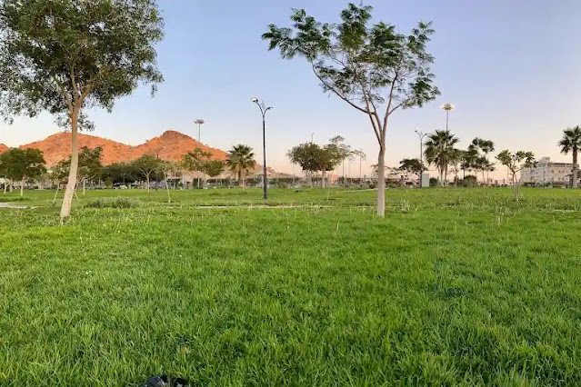 تأمل الطبيعة الساحرة