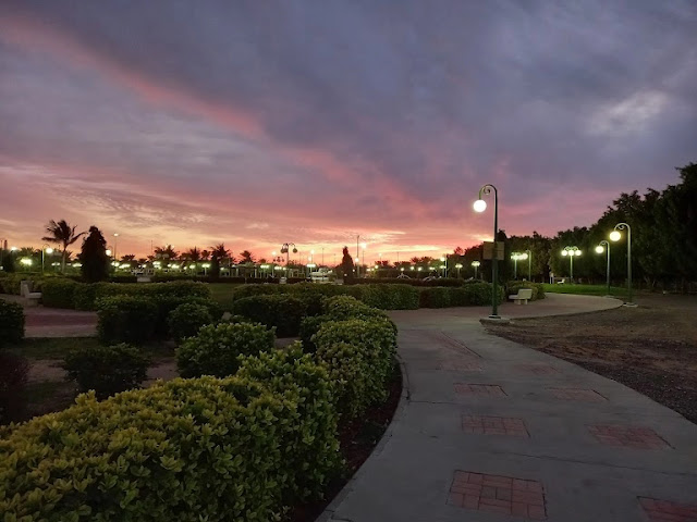 حديقة الفيروز