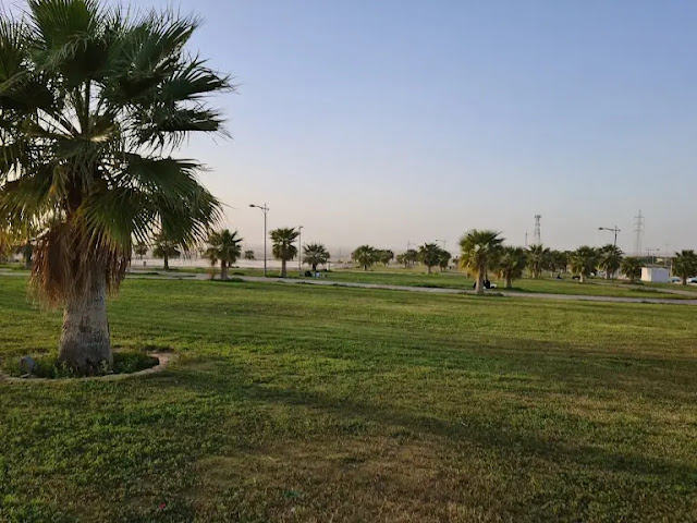 حديقة الملك عبدالله بريده