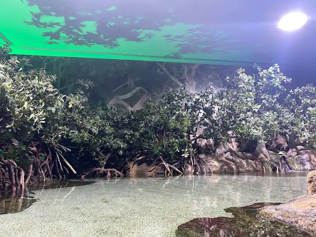 مطعم ريف ورغيف