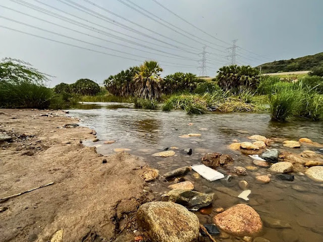 العين الحارة