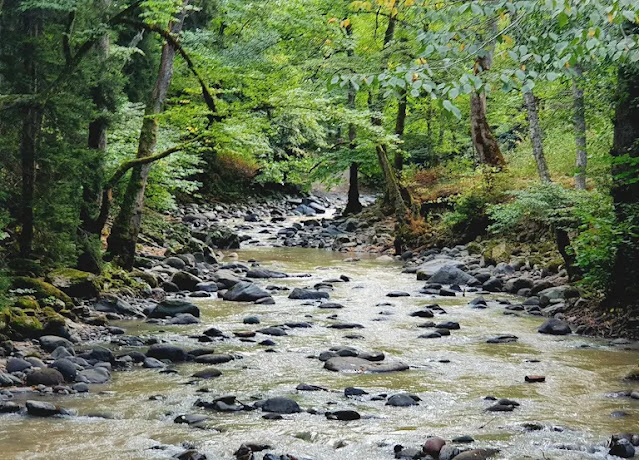 حديقة المياه المعدنية