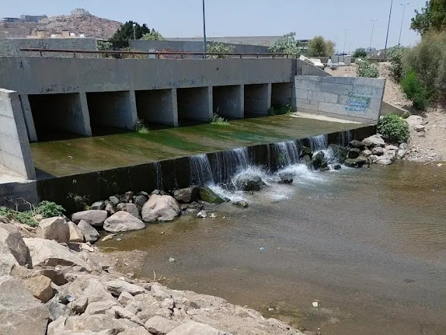 التعرف على السد