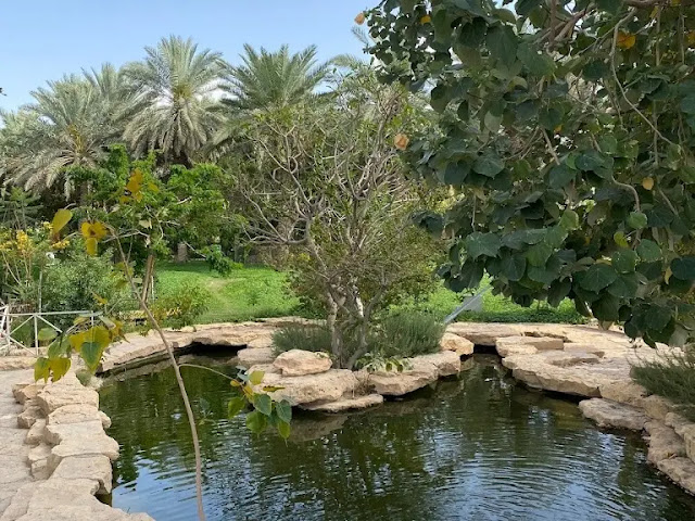 الاسترخاء وسط الطبيعة