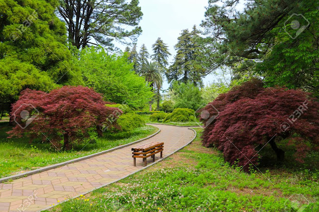 حديقة النبات في باتومي