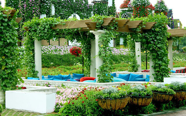 مناطق الاستراحة "Cabanas"