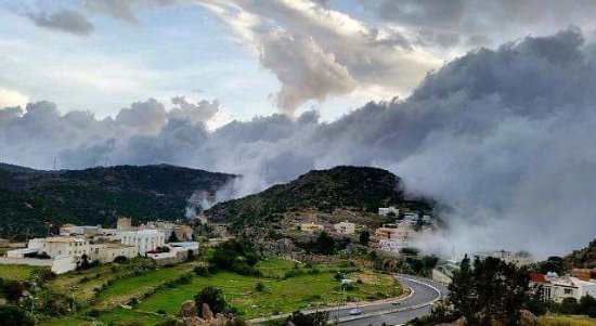 حديقة أبو خيال