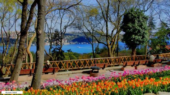 حديقة اميرجان