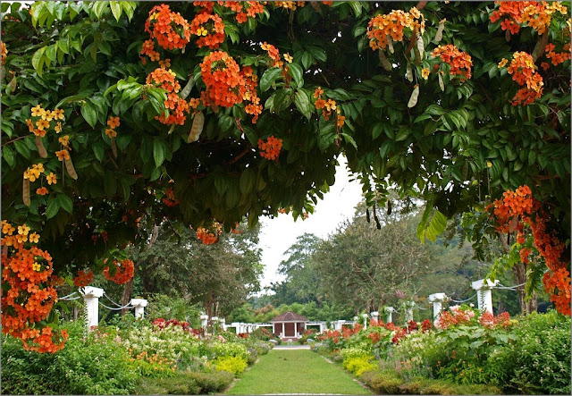 حديقة بينانج النباتية