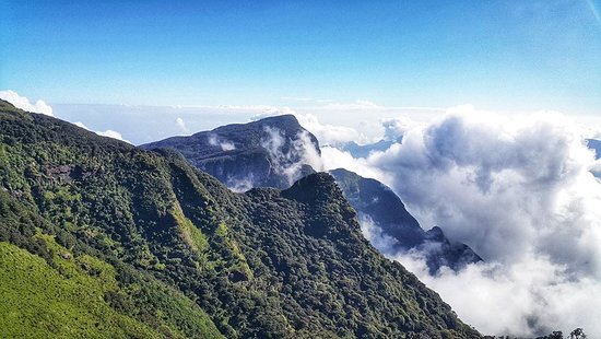 سلسلة جبال ناكلز