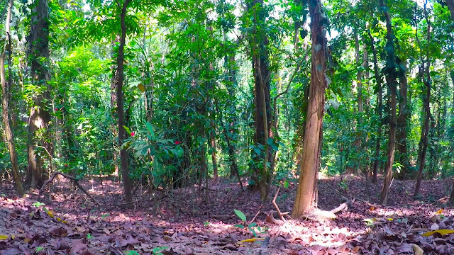 محمية أوداواتا كيلي