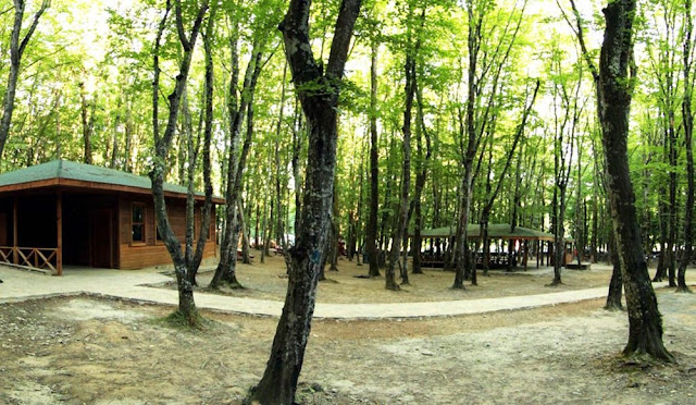 منتزه أفجيكو الطبيعي