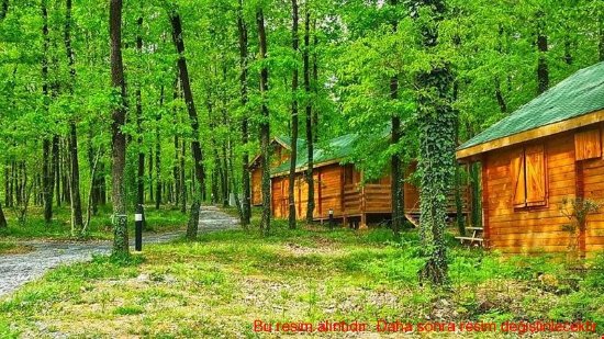 منتزه أفجيكورو الطبيعي