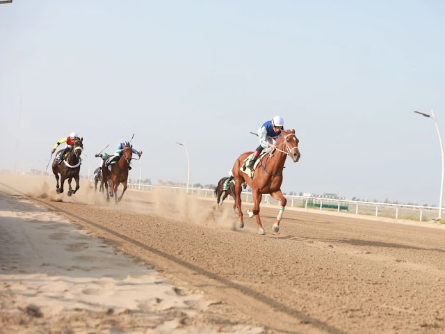 ميدان الفروسية