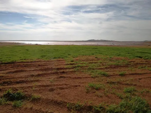 محمية حرة الحرة