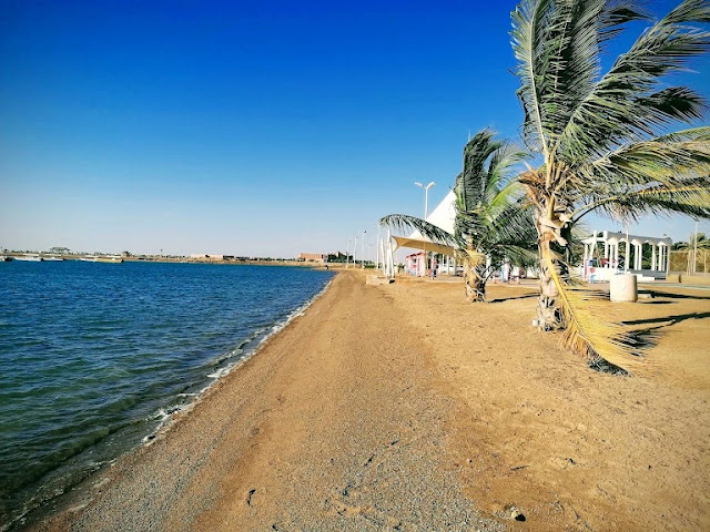 شاطئ الشباب ينبع