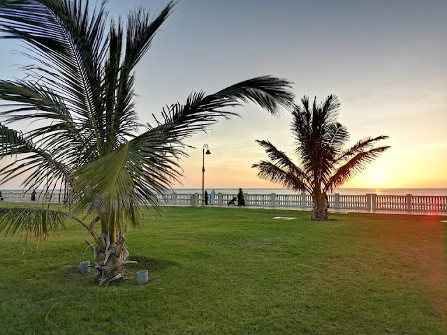 زيارة الحديقة