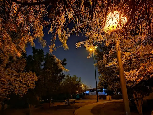 ممارسة الرياضة