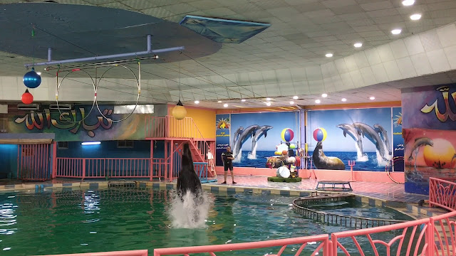 قرية الدولفين الترفيهية