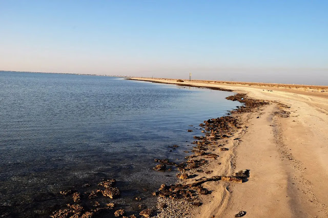 ممارسة الأنشطة المائية