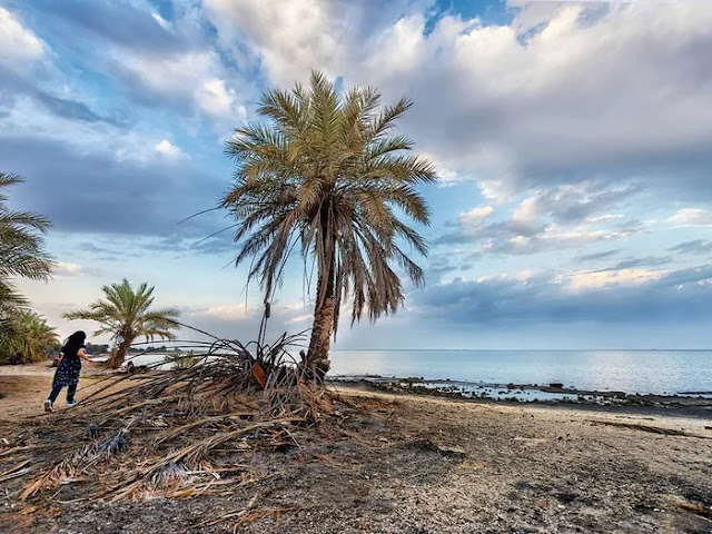 التنزه في الطبيعة