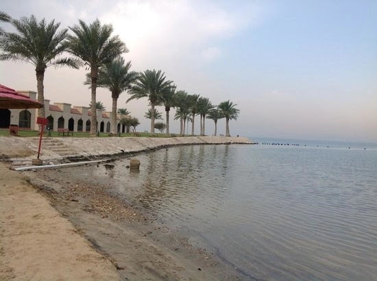 تجربة الركوب