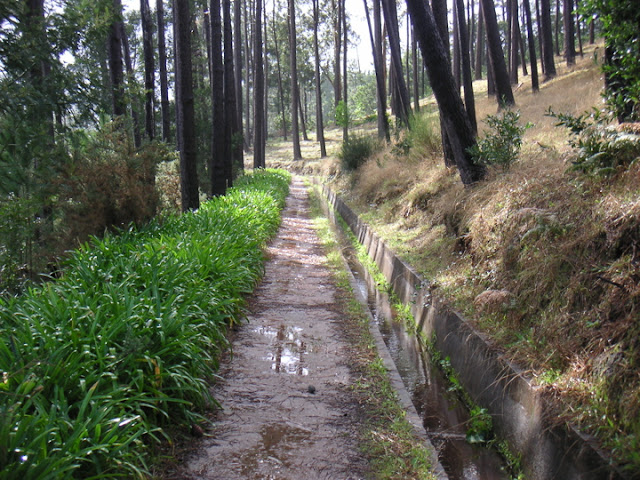 المشي في مسارات ليفادا