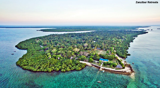 جزيرة مافيا