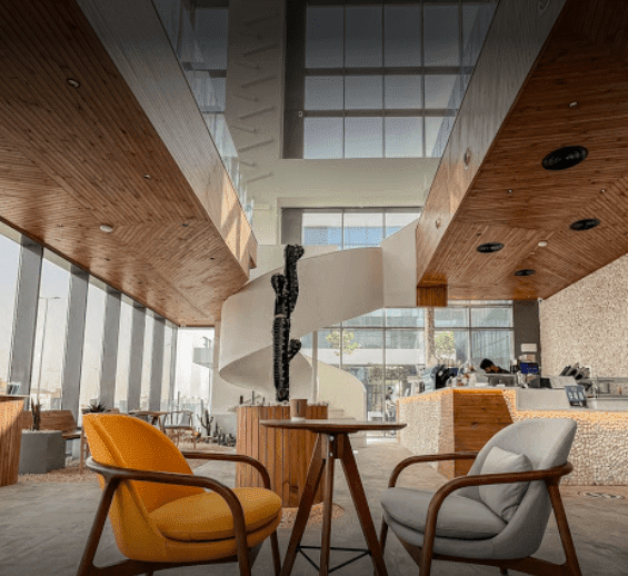 كاكتي كافيه