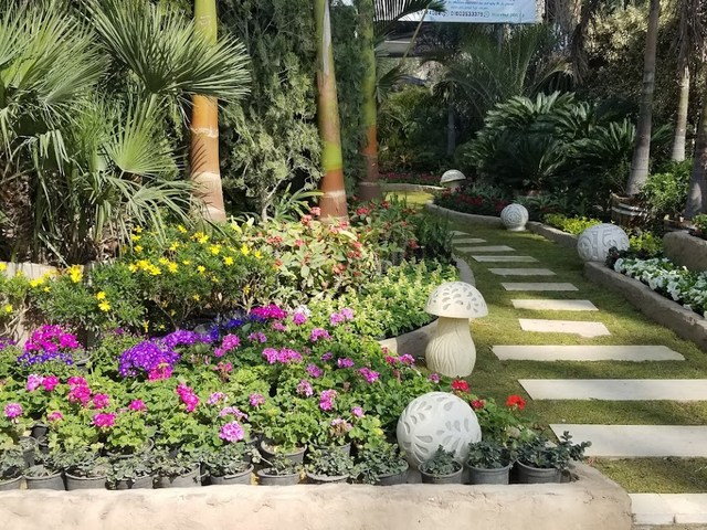 حديقة الأورمان القاهرة