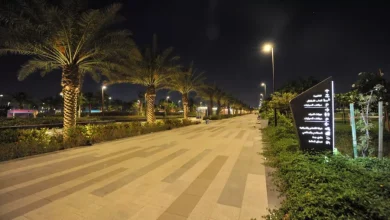 حديقة الامير ماجد