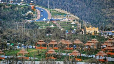 مطاعم بلجرشي
